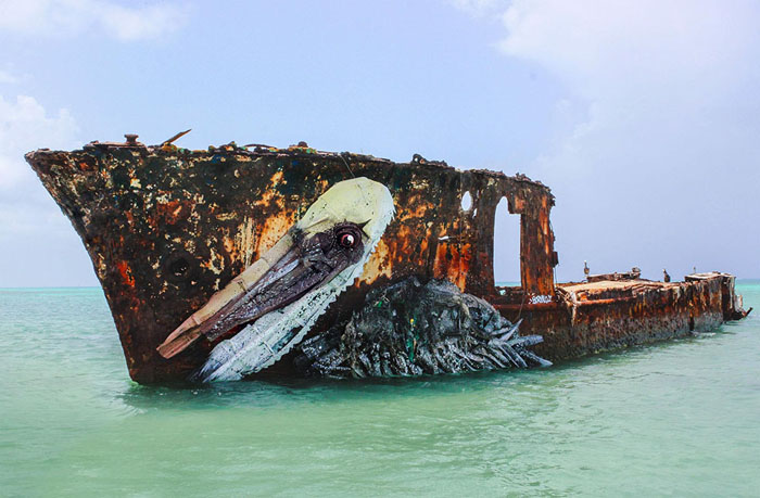 bordalo-03